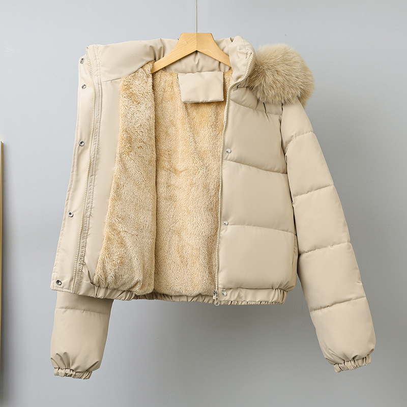 겨울 짧은 파카 여성용 면 패딩 의류 벨벳 두꺼운 겉옷 - Wool Coat Peacoat 리뷰 및 가격